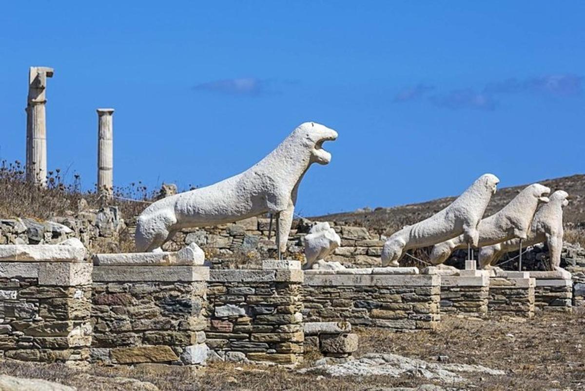Un grupo de ovejas de pie sobre un muro de piedra