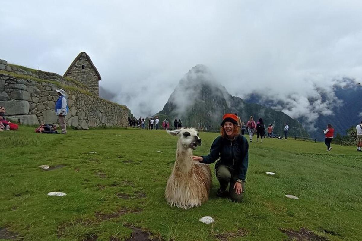 Un hombre arrodillado junto a una llama en un campo.
