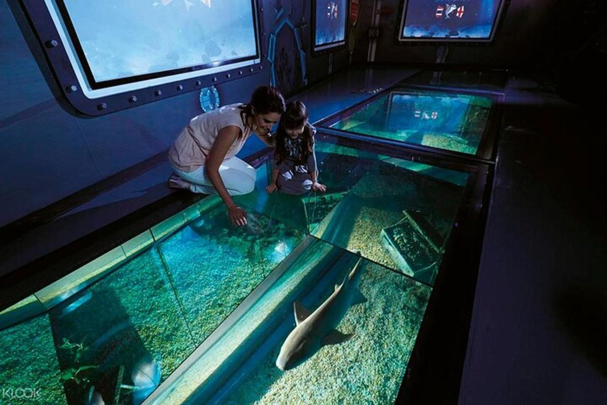 uma mulher olhando para um peixe em um aquário
