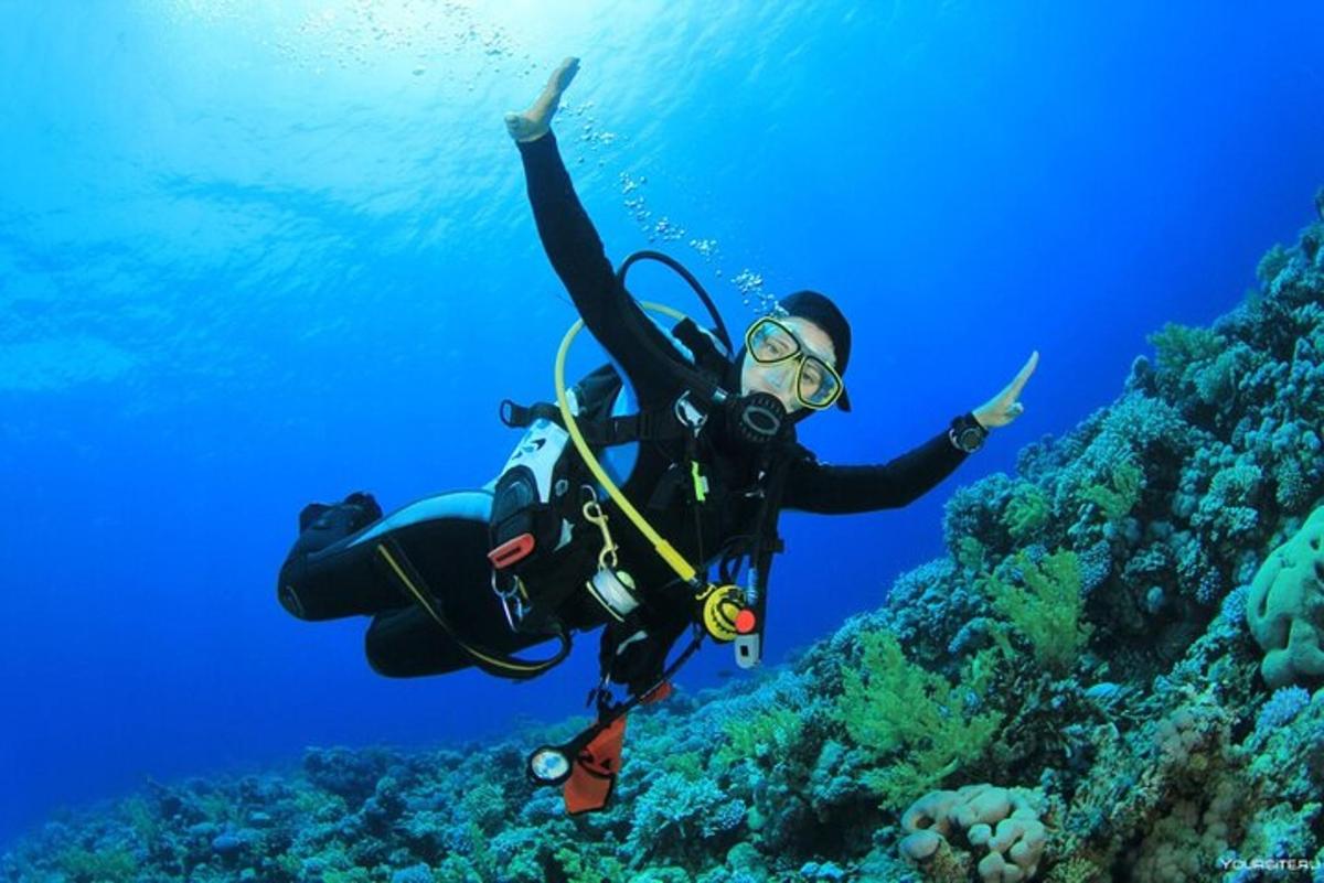 osoba v potápěčském obleku plave v oceánu