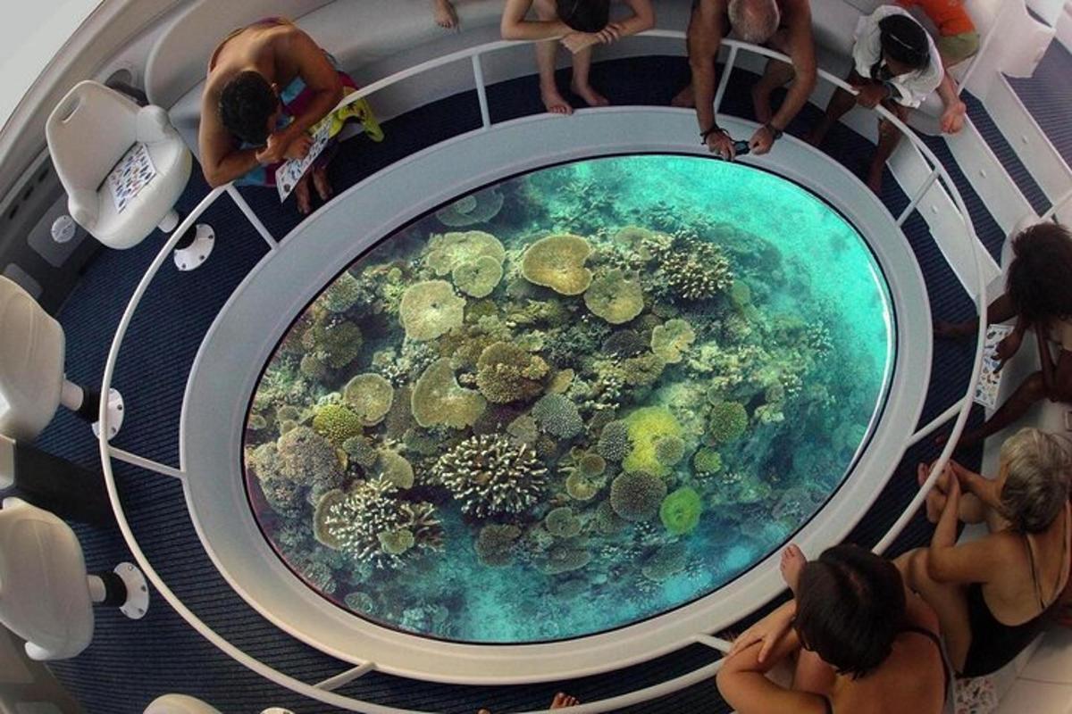 un gruppo di persone che osserva una mostra sull'oceano