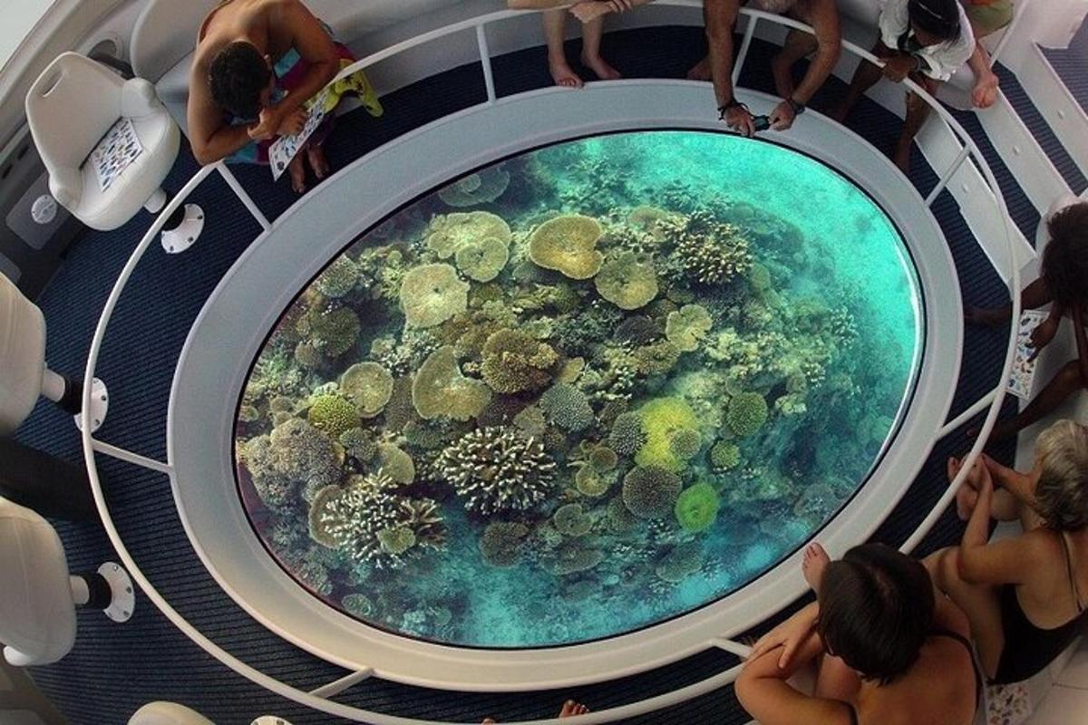 un gruppo di persone che osserva una mostra nell'oceano