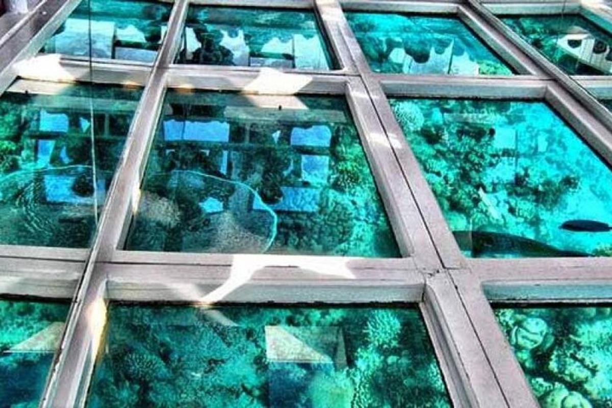 a glass window of a building with water in it