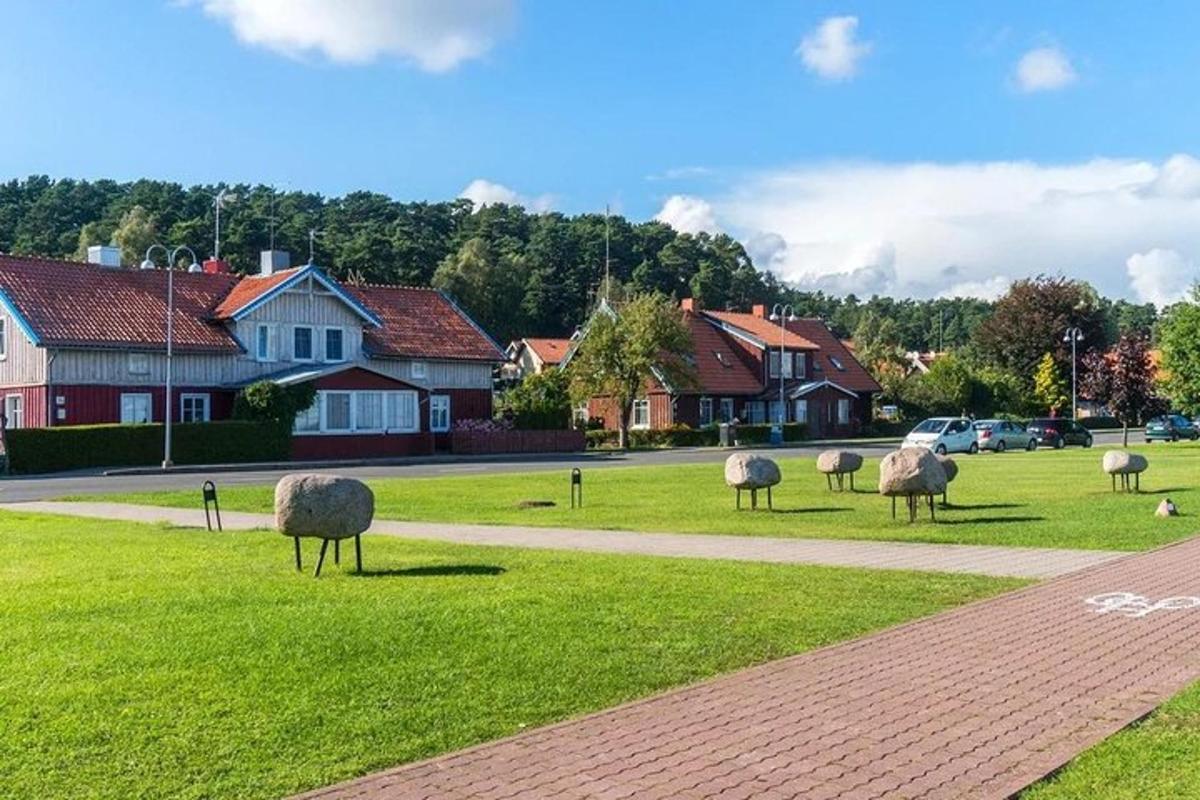 skupina ovcí stojící v trávě poblíž ulice