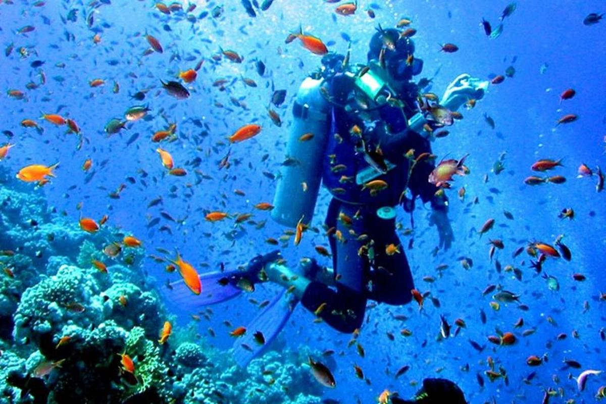 un sub nell'oceano con un banco di pesci