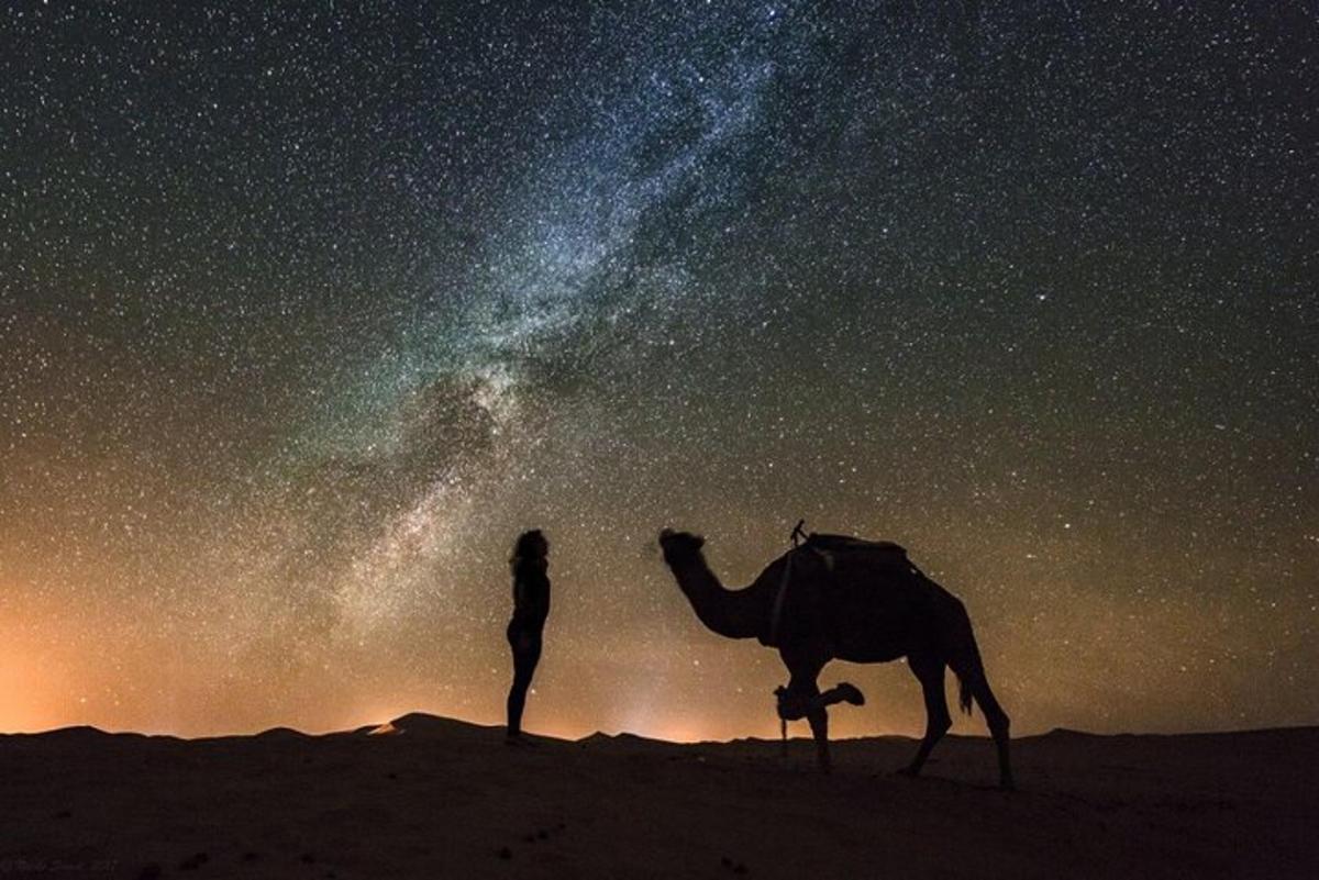 a woman standing next to a camel in the desert