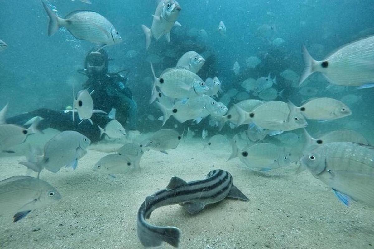 Fotografia da atração 7