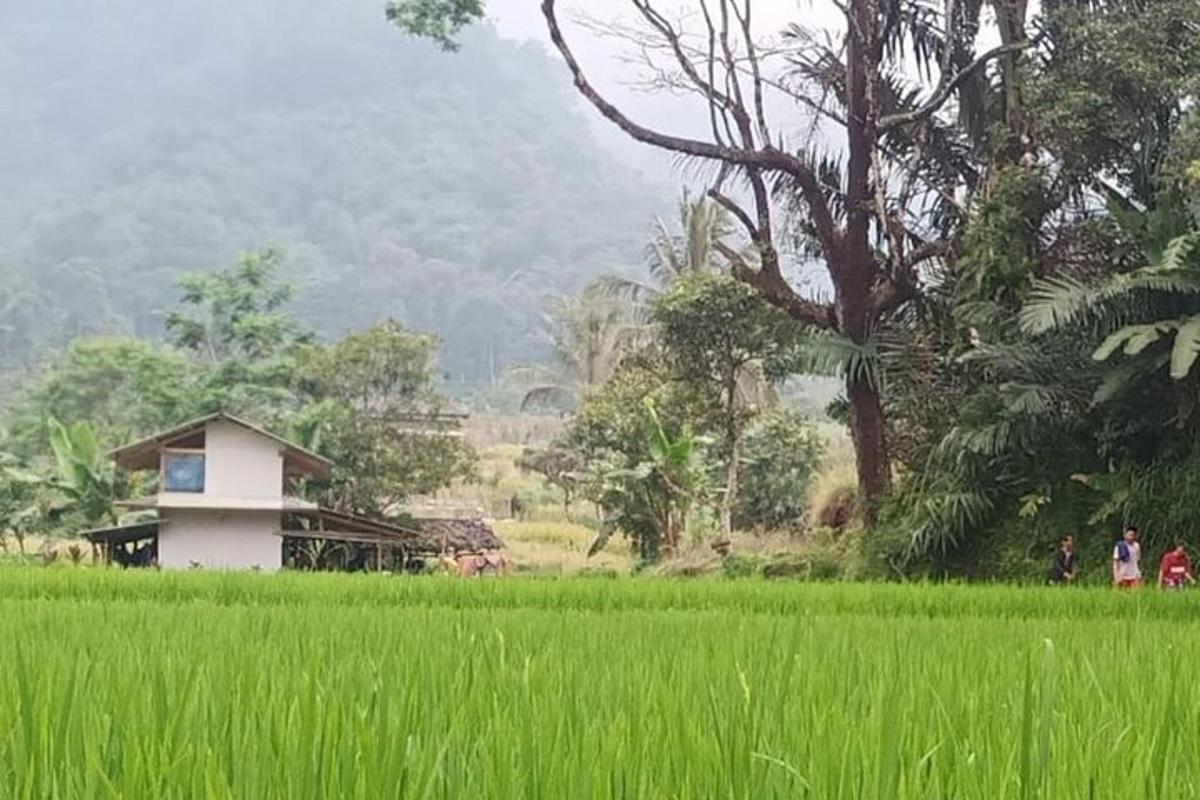 sebuah rumah kecil di tengah-tengah padang yang menghijau