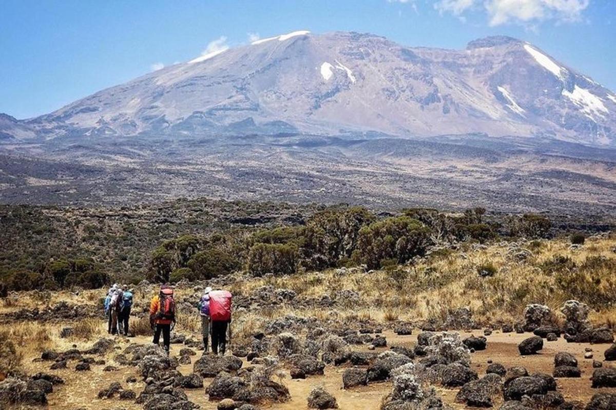 um grupo de pessoas caminhando em uma montanha