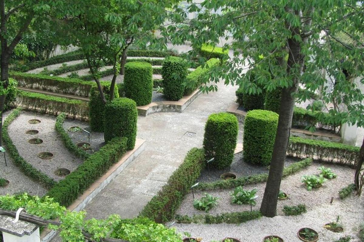 eine Draufsicht auf einen Garten mit Büschen und Bäumen