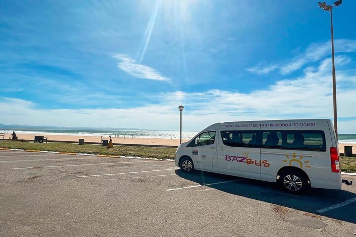 a white van parked in a parking lot near the beach