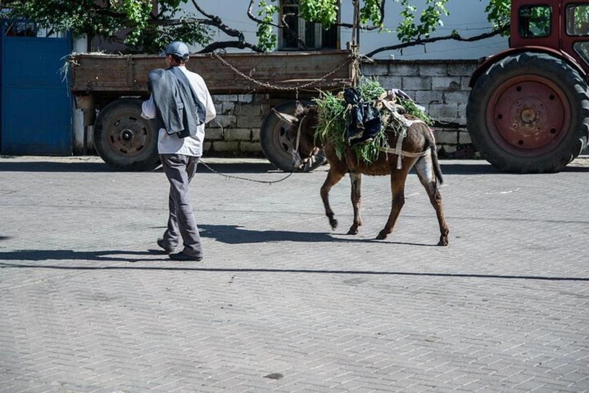 Turistik nokta fotoğrafı 4