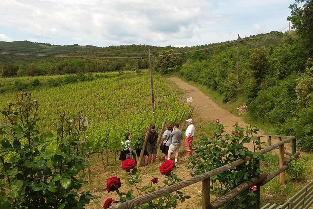 un gruppo di persone che camminano lungo una strada sterrata