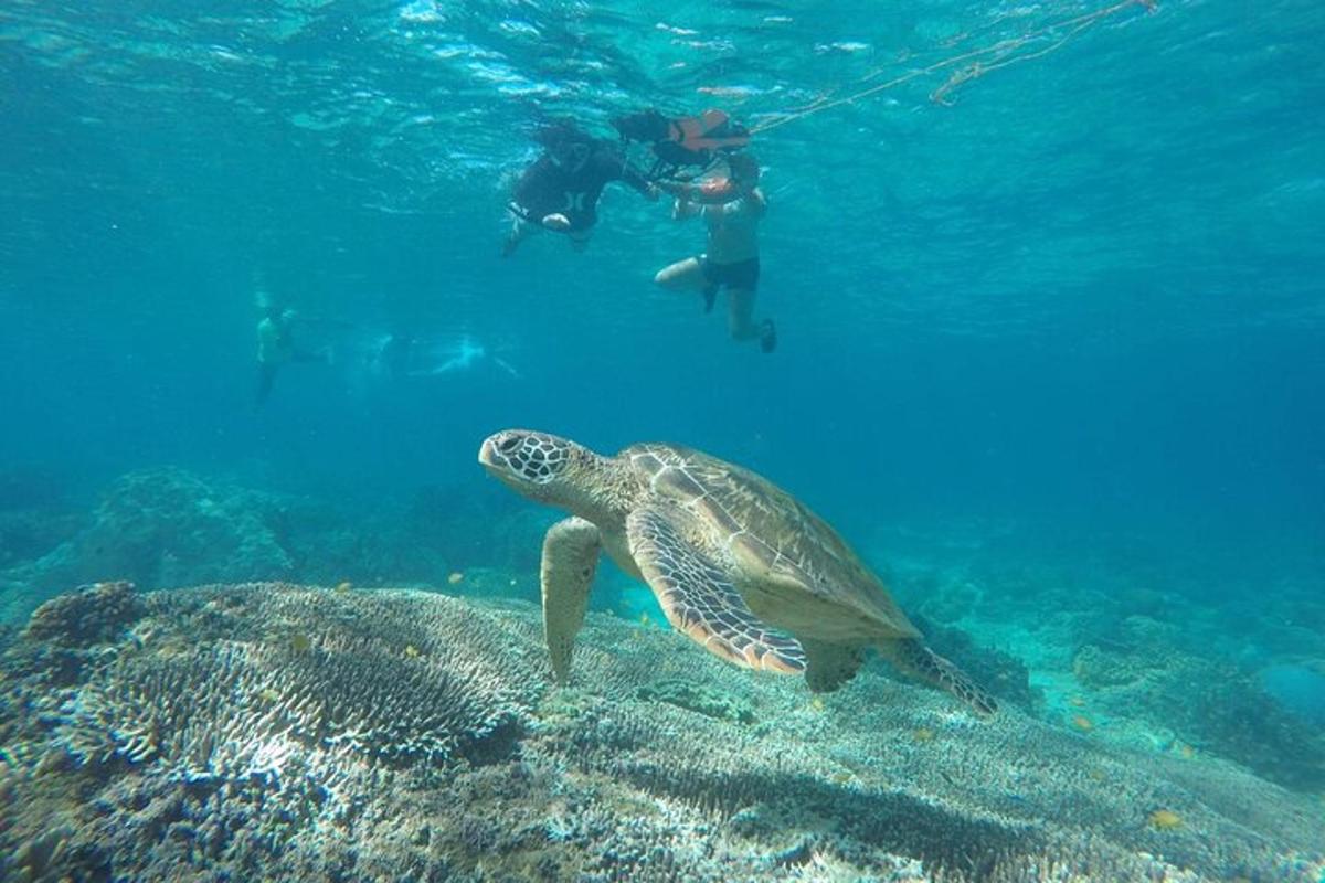 Turistik nokta fotoğrafı 1