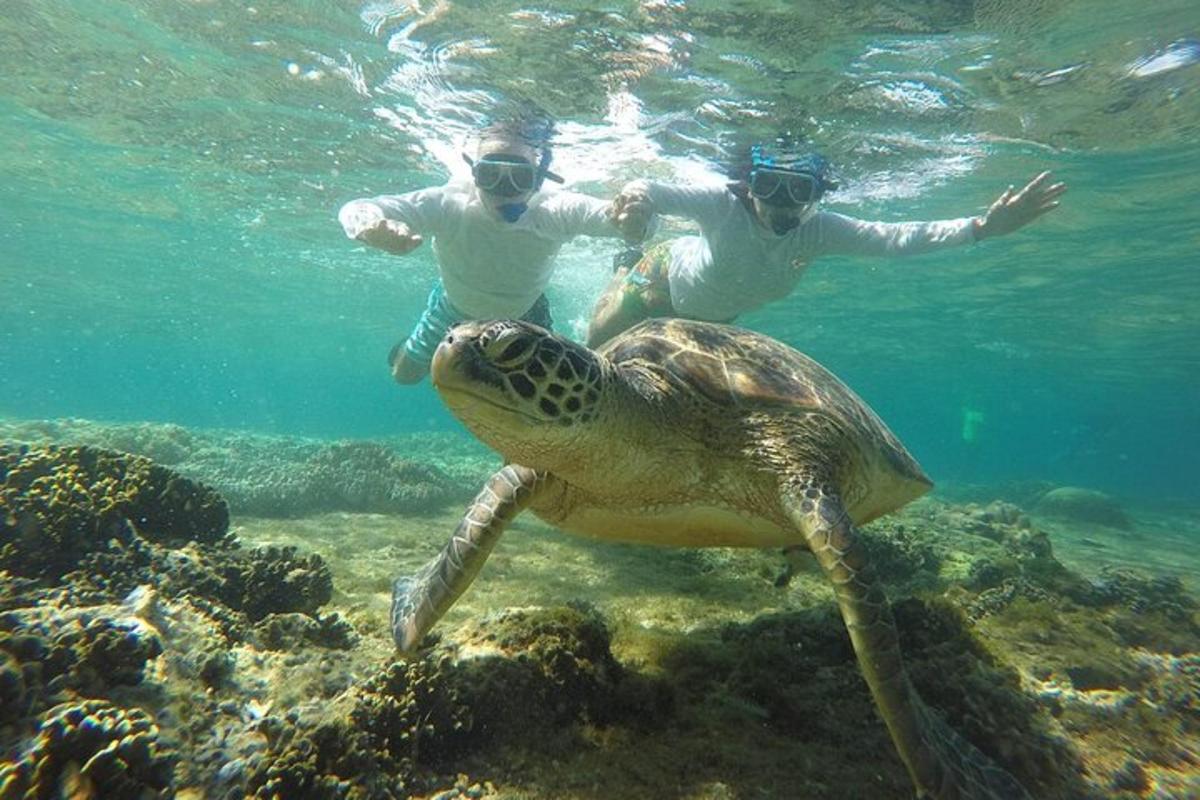 Lankytinos vietos ar pramogos nuotrauka numeris 4