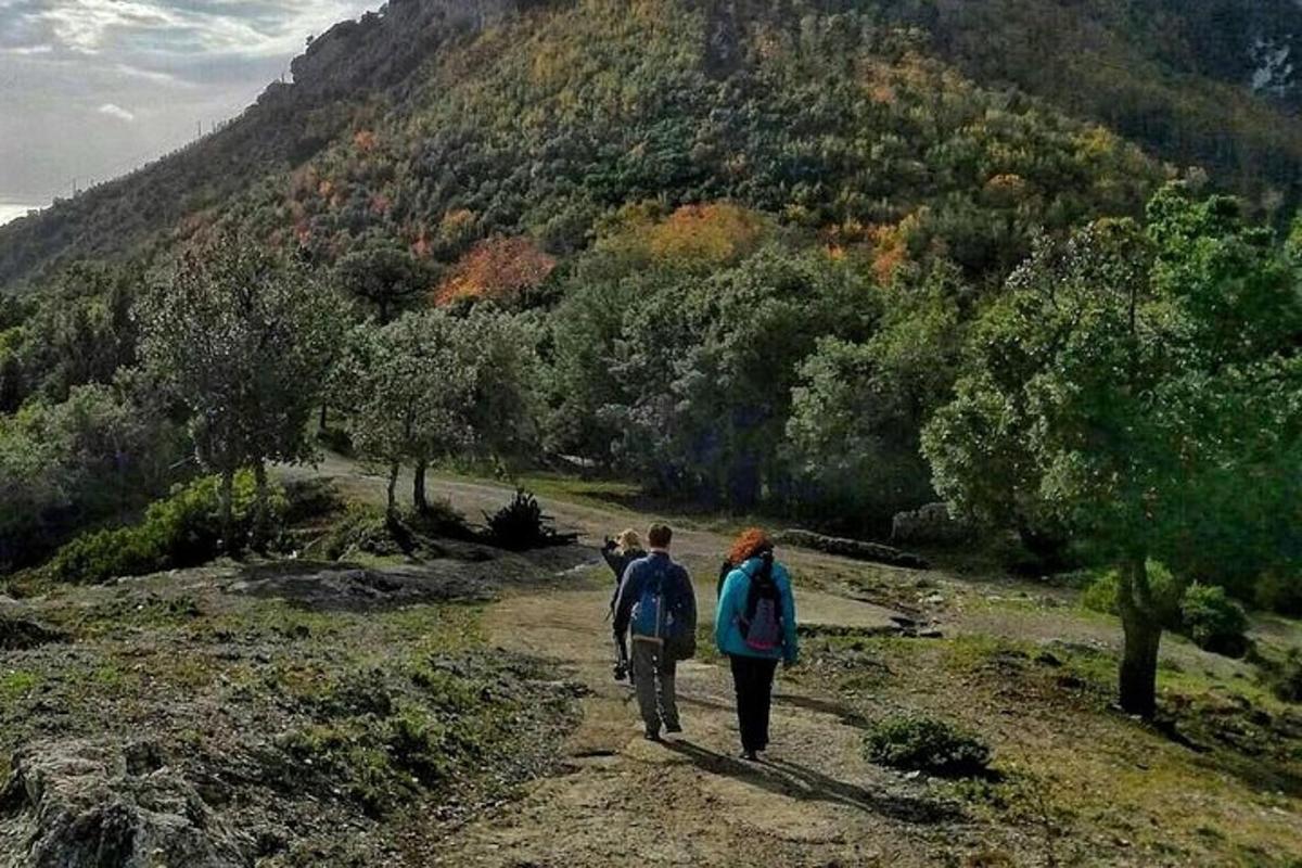 algumas pessoas caminhando por uma estrada de terra