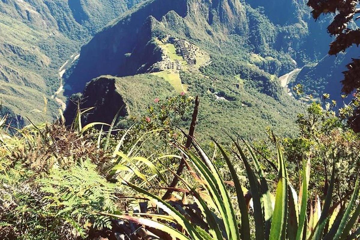 une vue d'une montagne avec de la végétation et une rivière