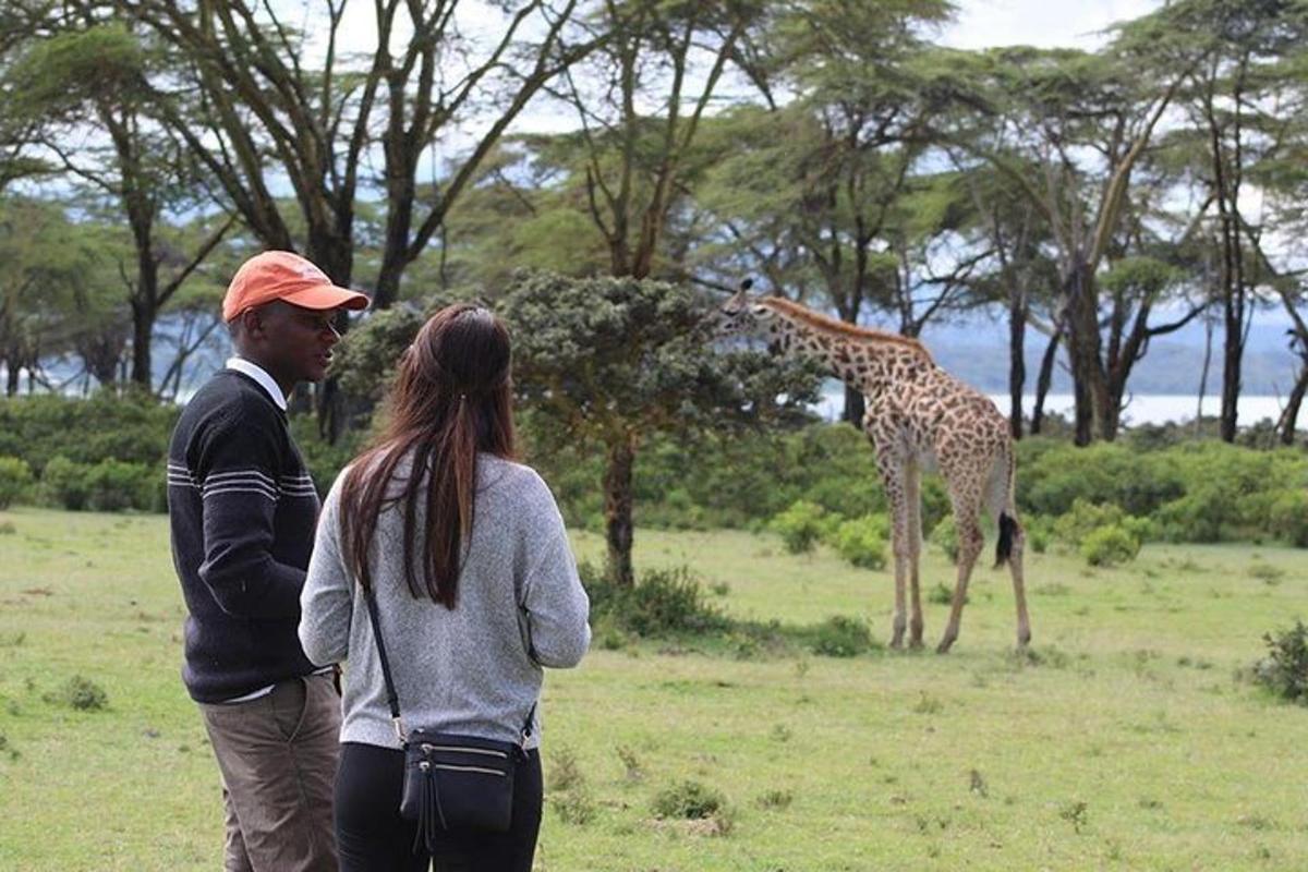 ein Mann und eine Frau betrachten eine Giraffe