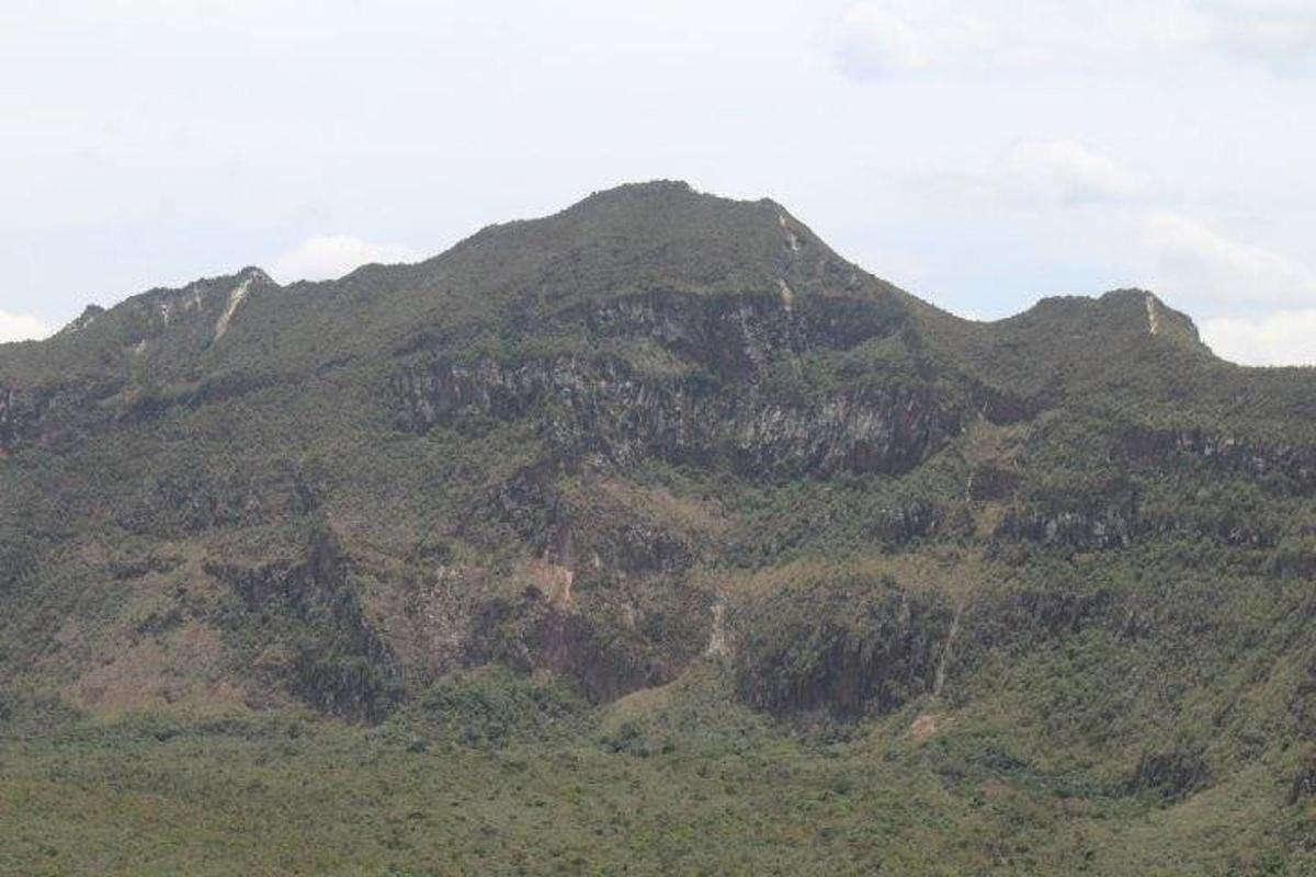 una montagna ricoperta di alberi e cespugli in cima