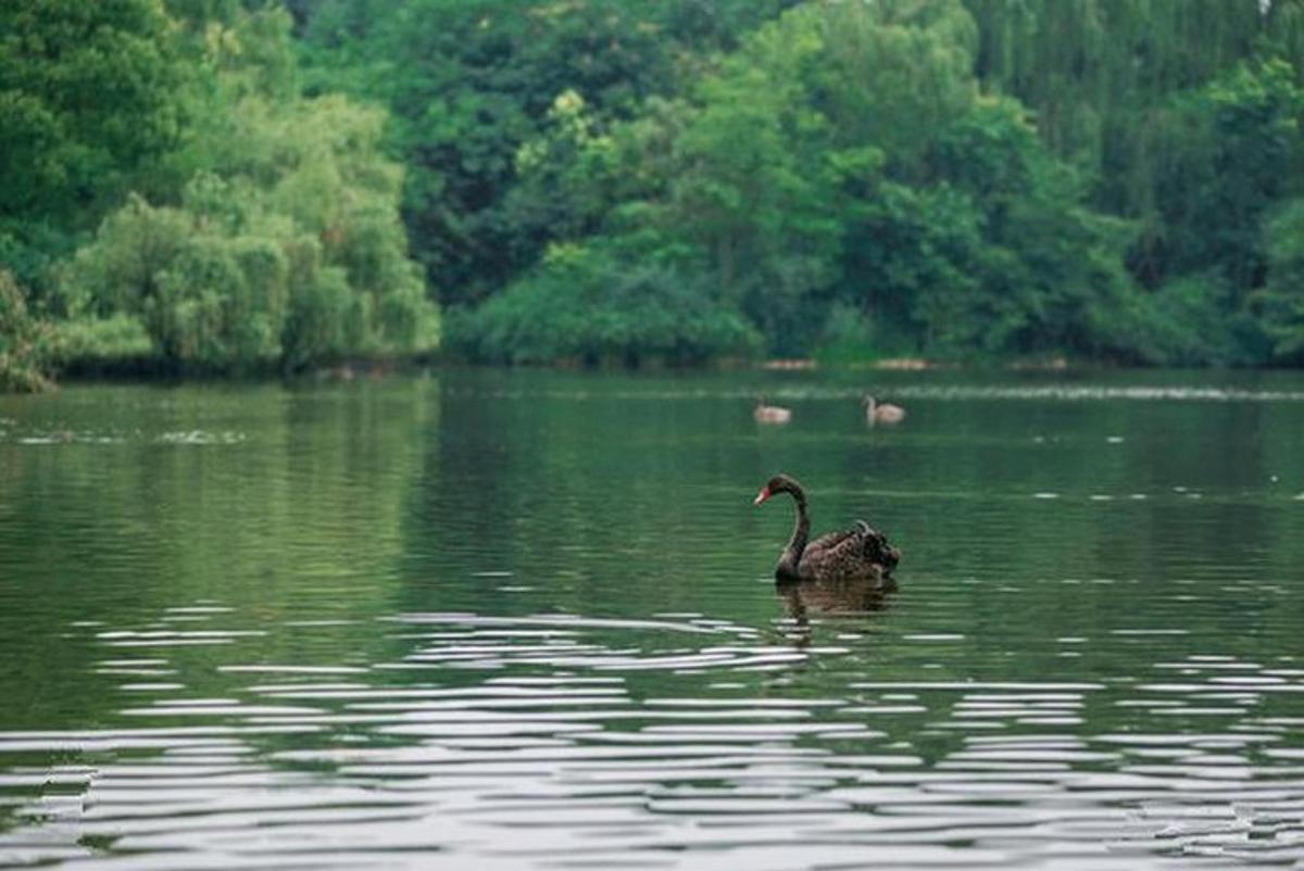 Fotografia atrakcie č. 7