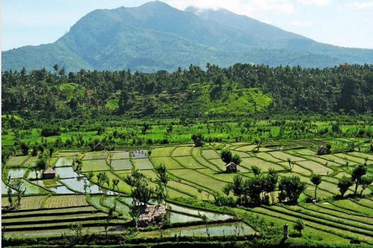 một góc nhìn về một cánh đồng xanh với những ngọn núi ở phía sau