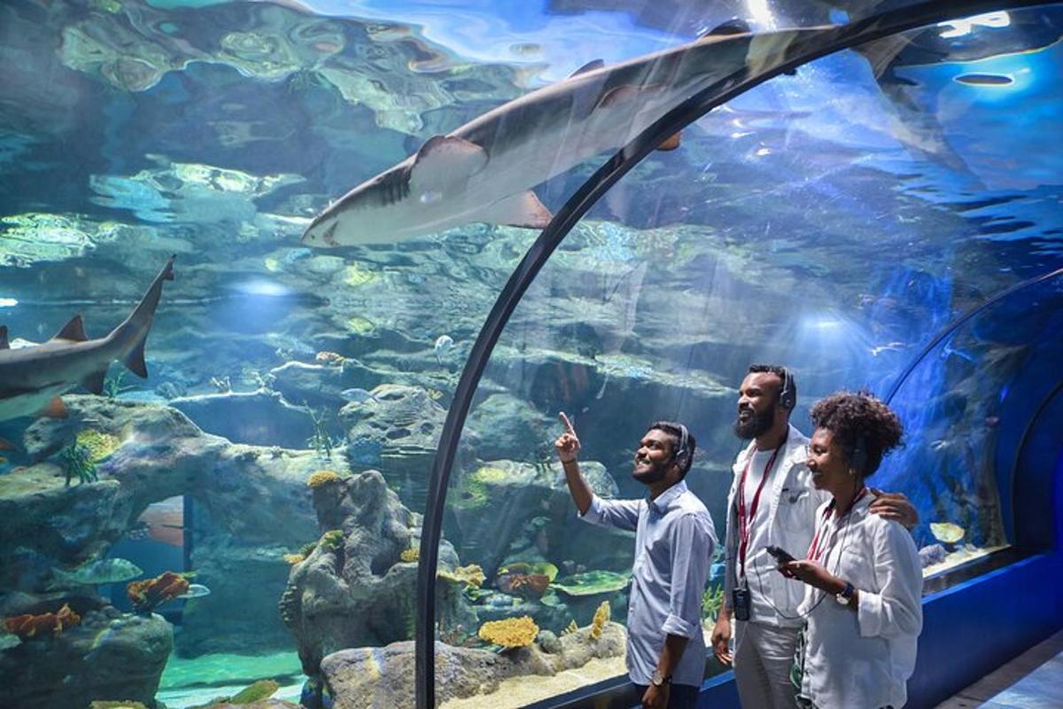 Un grupo de tres hombres de pie frente a un acuario.