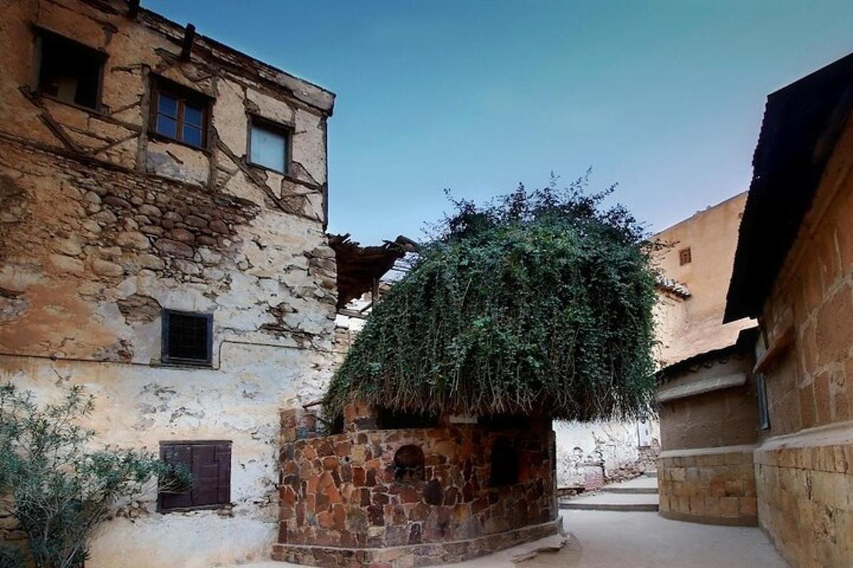 un vecchio edificio da cui cresce un albero