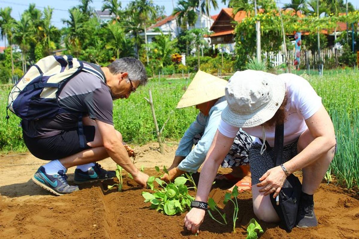 a group of people planting plants in a garden