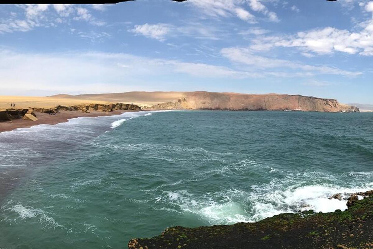 o vedere asupra oceanului cu o plajă și un munte