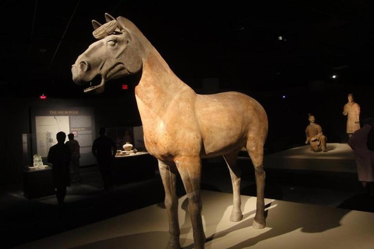 博物馆展出的马雕像