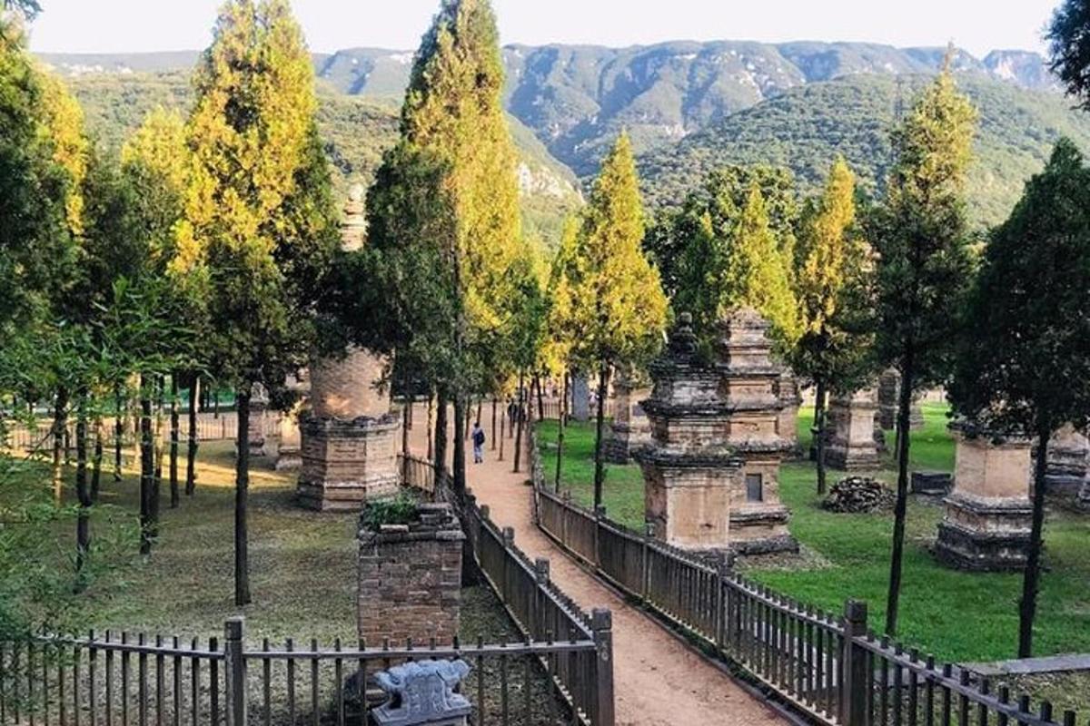 μια θέα ενός πάρκου με δέντρα και έναν φράχτη