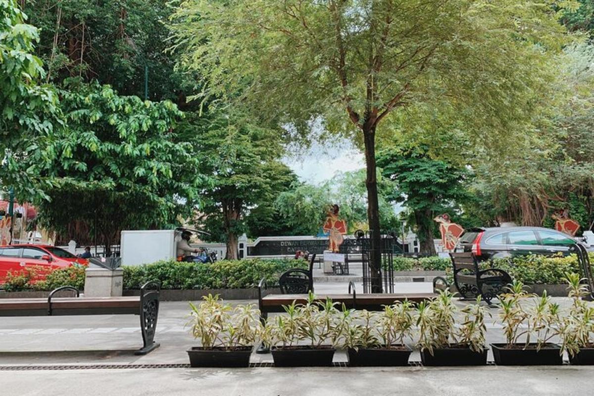 park s lavičkami, rostlinami, stromy a auty
