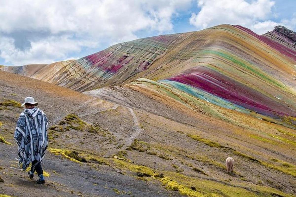 eine Person, die mit einem Schaf vor einem Regenbogenhügel läuft