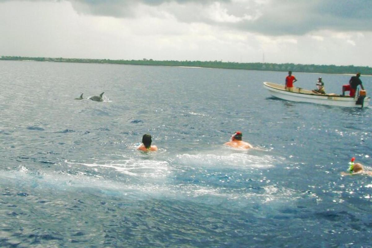 um grupo de pessoas nadando na água perto de um barco