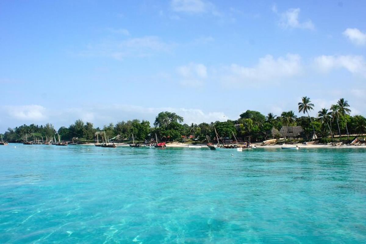 tanawin ng beach na may mga bangka sa tubig