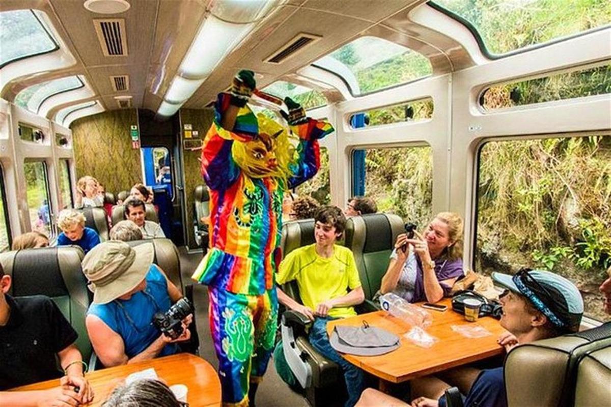 osoba v kostýmu stojící ve vlaku