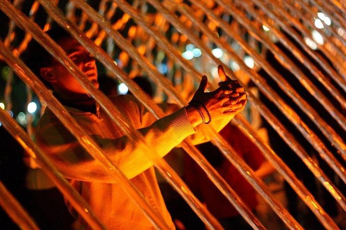 Una mujer está recostada en una palmera