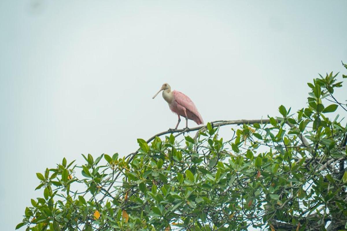 5 foto atraksi wisata