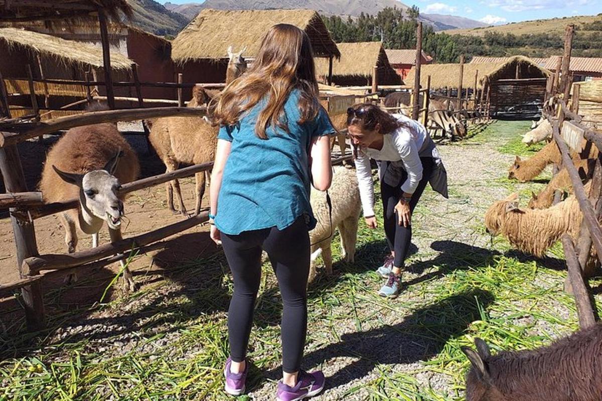 two girls are looking at sheep in a pen