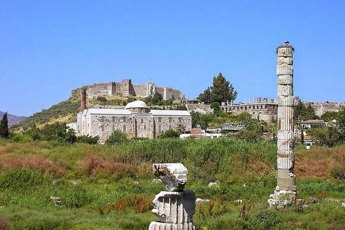 una colonna in un campo con un castello sullo sfondo