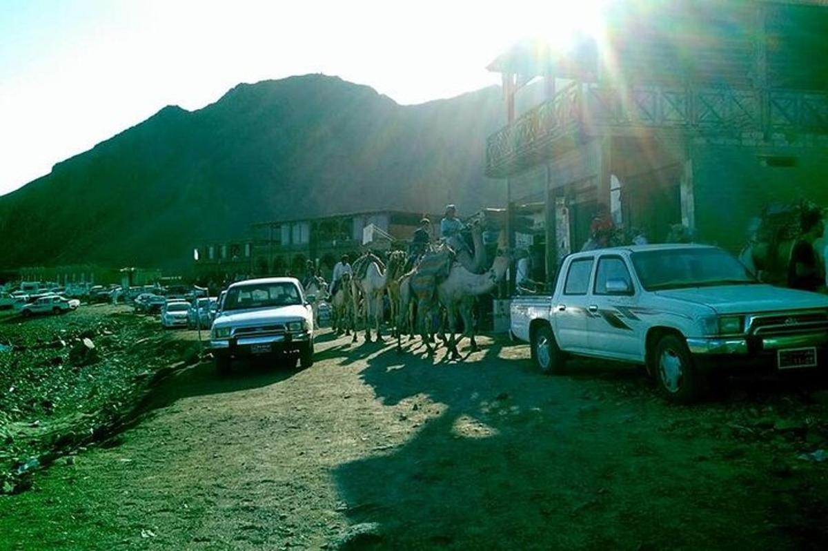 un camion garé à côté d'un groupe de chevaux et de voitures