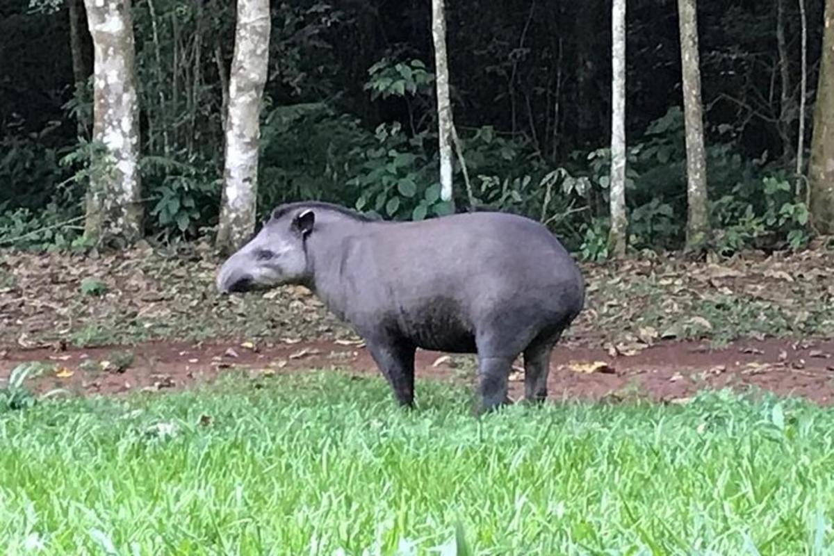 Fotografia da atração 2