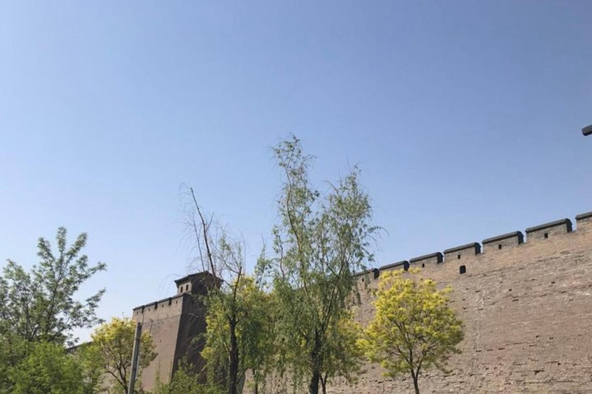 建筑物旁边有树木的砖墙