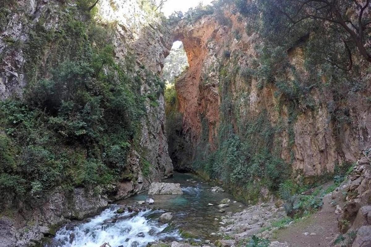 Fotografia da atração 1