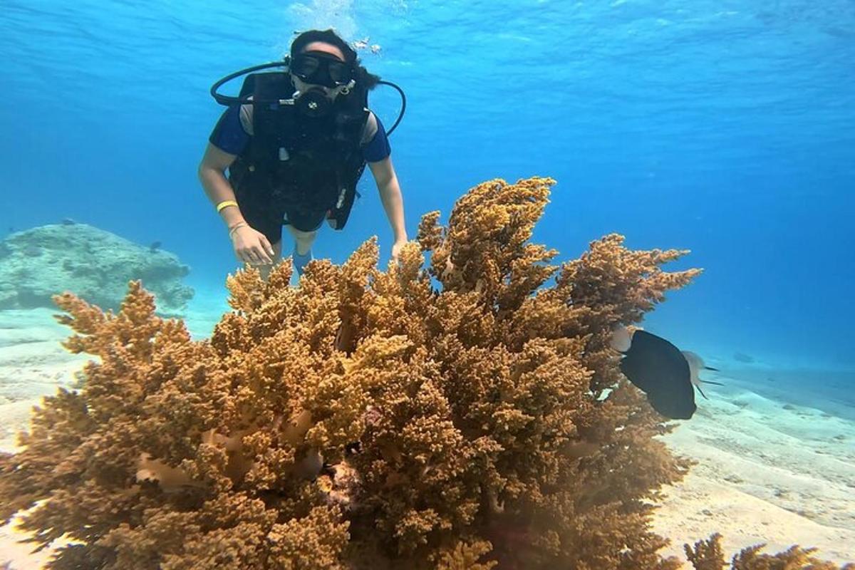 člověk v oceánu dívající se na korálový útes