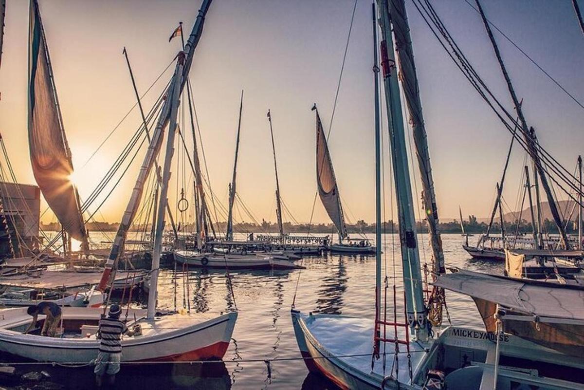 en gruppe båter fortøyd i en havn