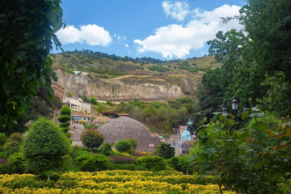 a view of a garden with a mountain in the background