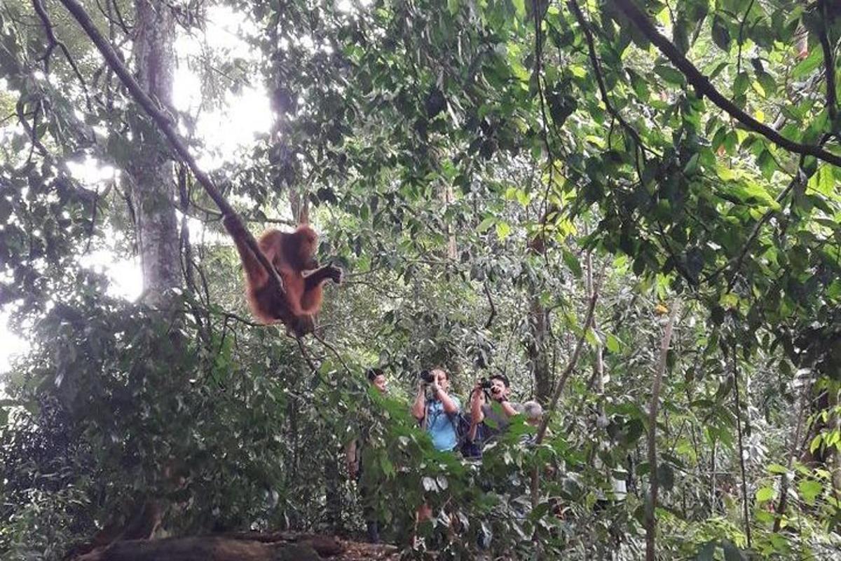 Fotografia da atração 6