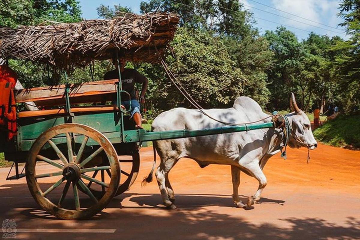 Fotografia da atração 5