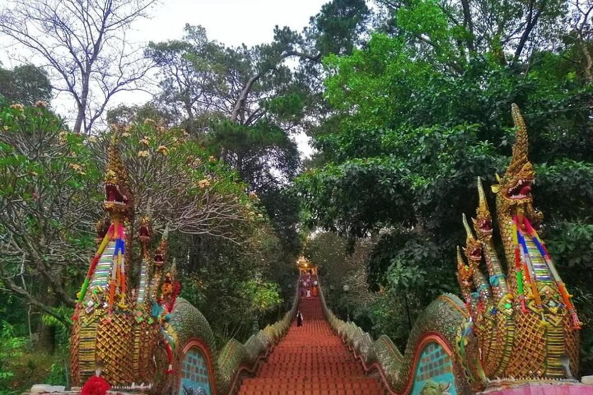 a walkway in a park with lots of trees